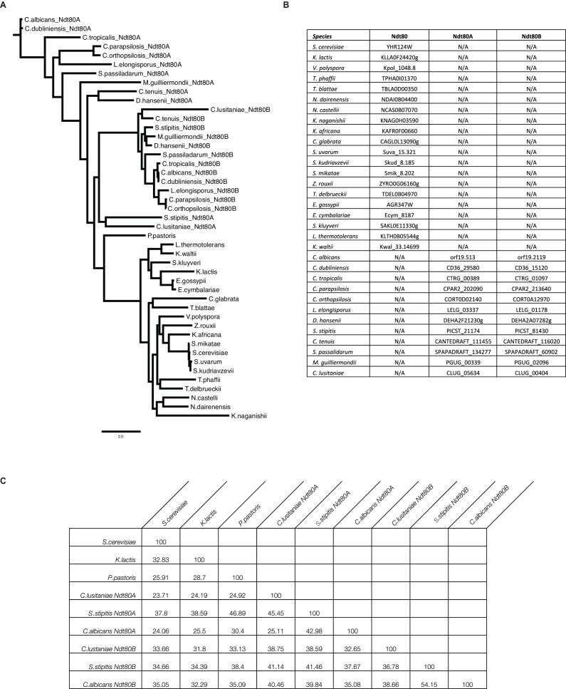 Figure 2—figure supplement 1.