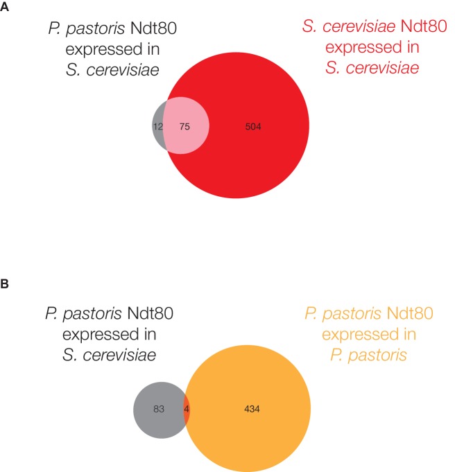 Figure 3—figure supplement 1.