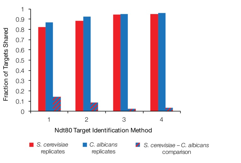 Figure 1—figure supplement 4.