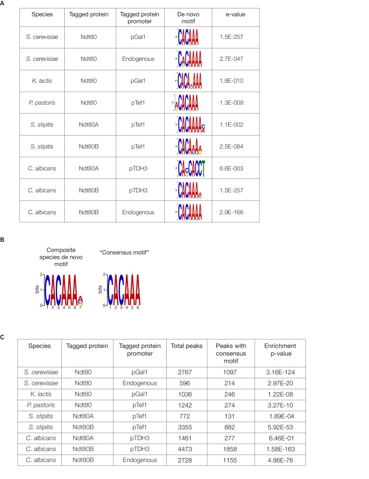 Figure 2—figure supplement 4.