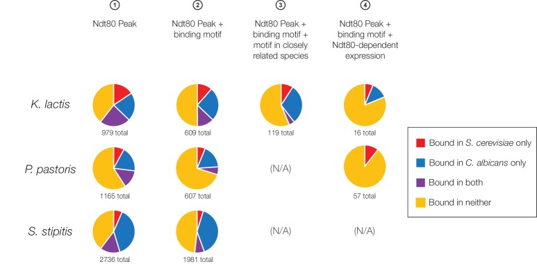 Figure 2—figure supplement 2.