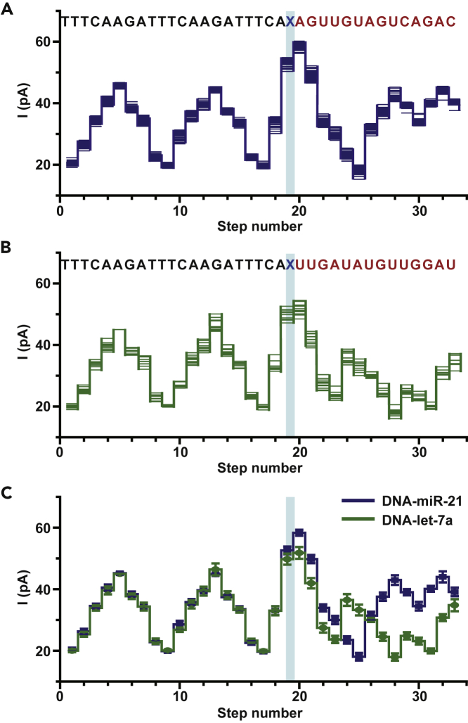 Figure 2