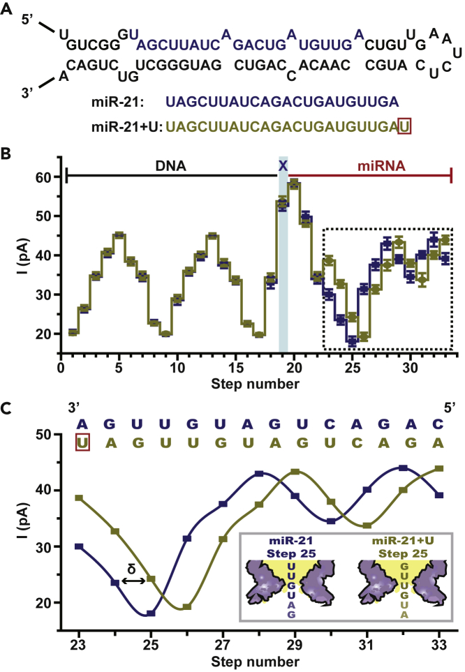 Figure 3