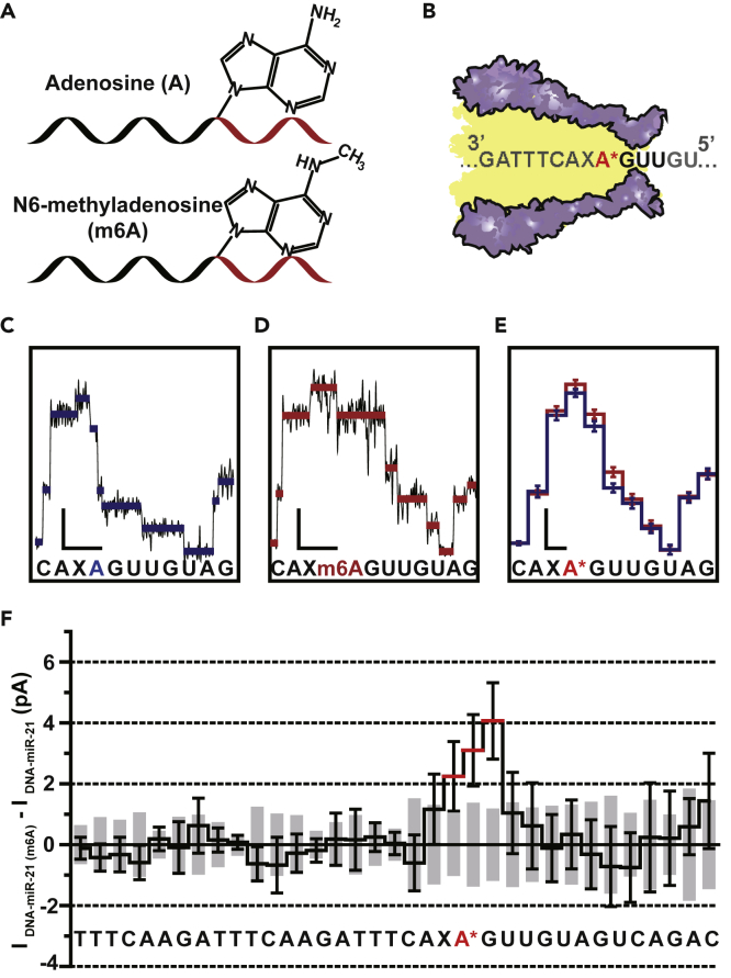 Figure 4