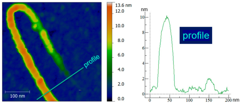 Figure 14