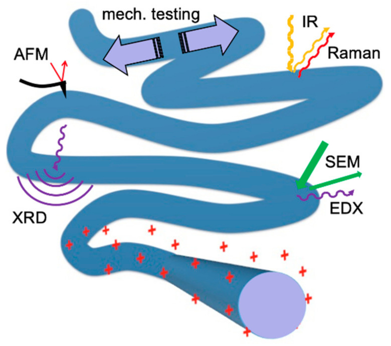 Figure 12