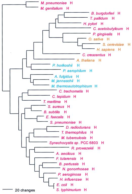 FIG. 12