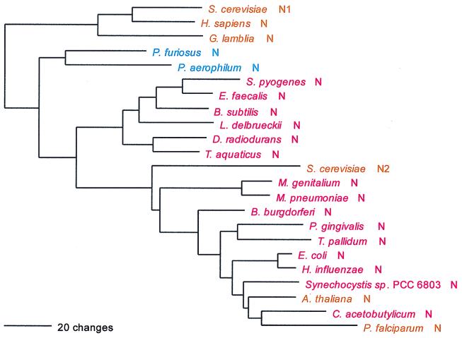 FIG. 14