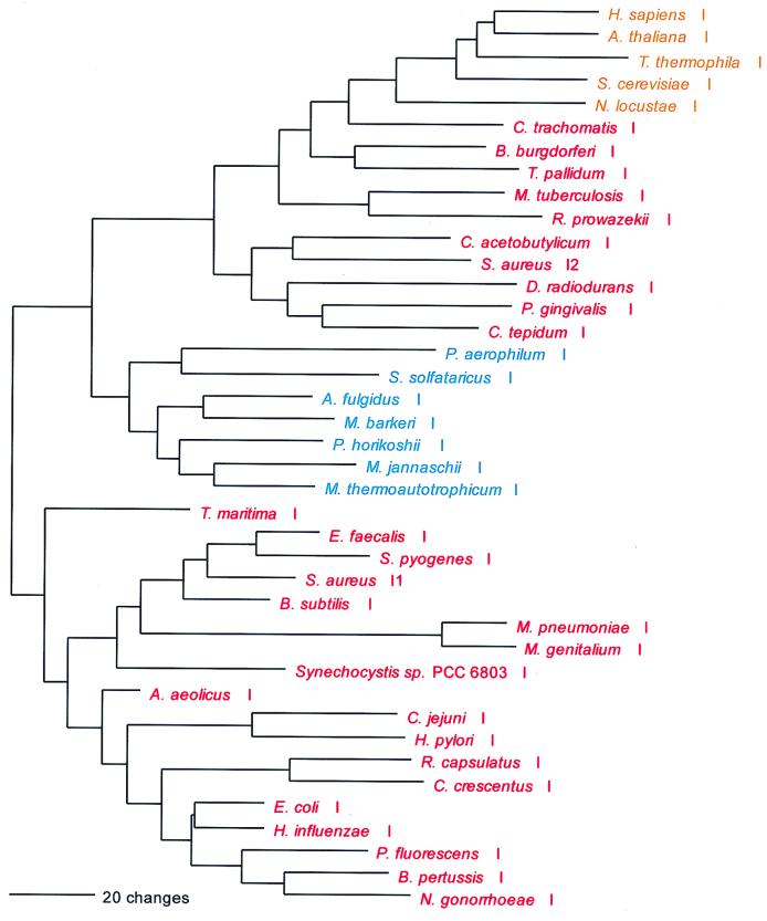 FIG. 4