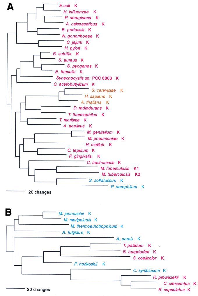 FIG. 15