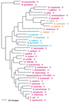 FIG. 12