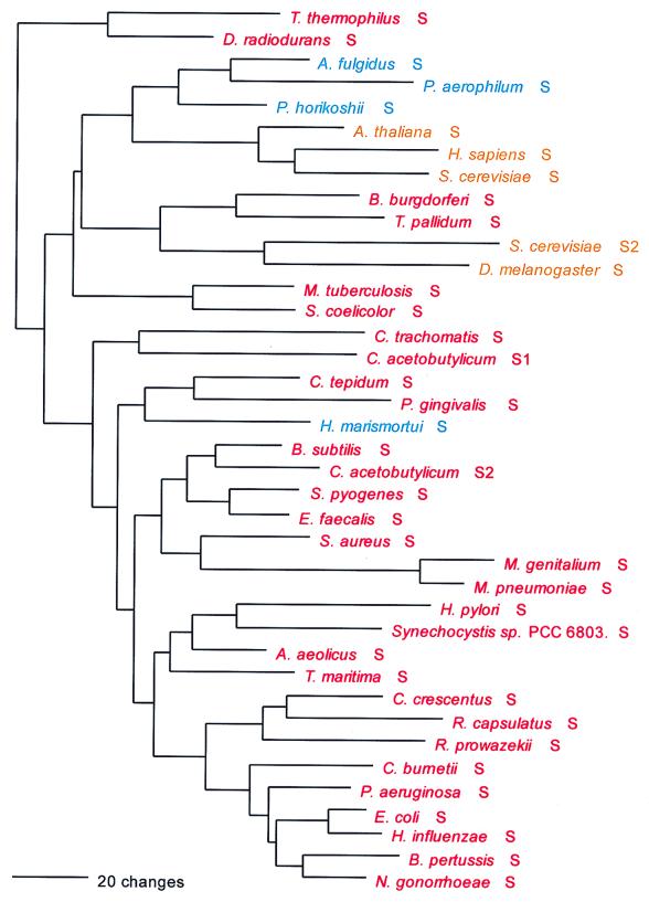 FIG. 7