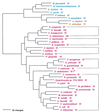 FIG. 19