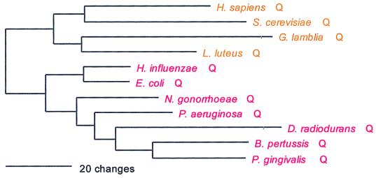 FIG. 13