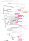 FIG. 7