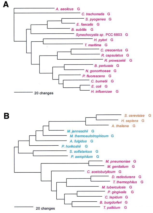 FIG. 21