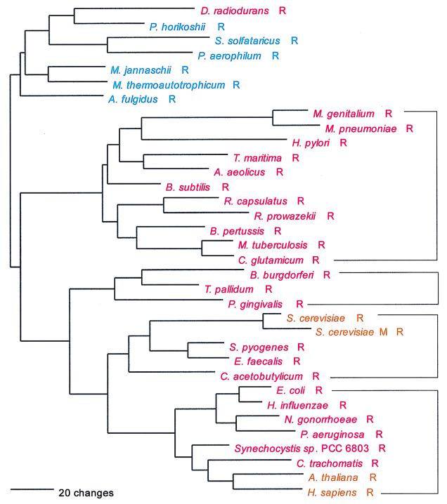 FIG. 20