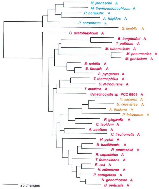 FIG. 10