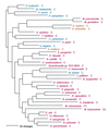 FIG. 18