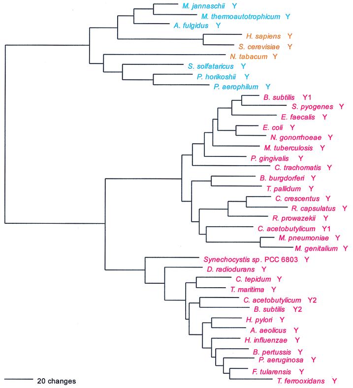 FIG. 11