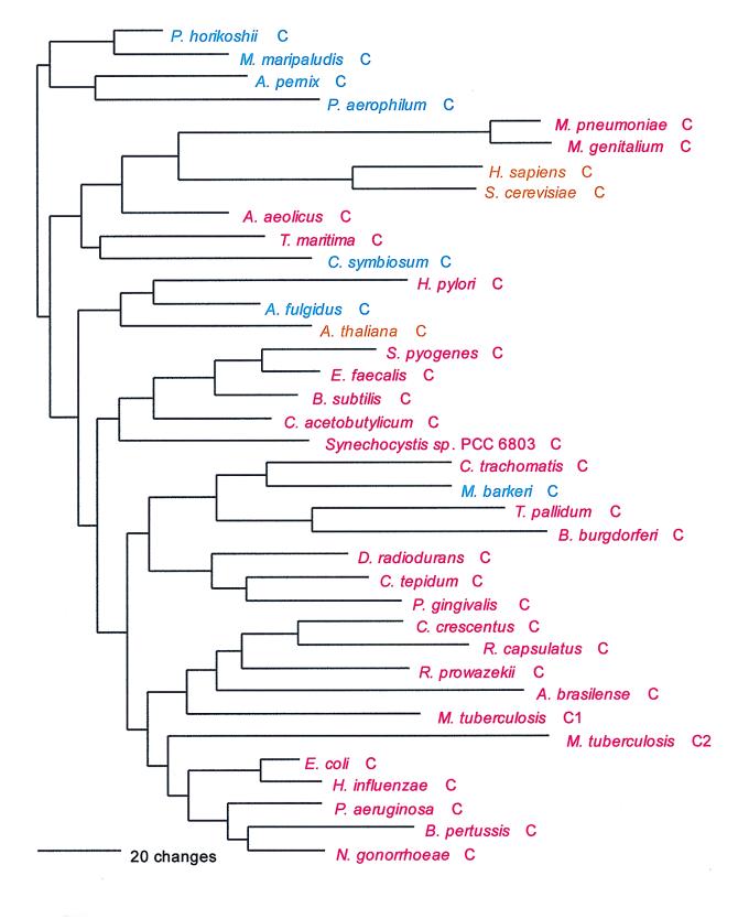 FIG. 18