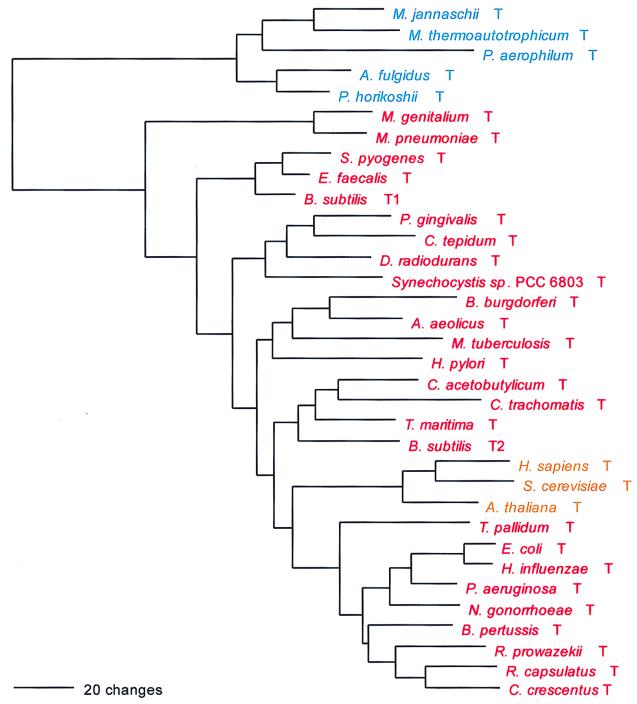 FIG. 9