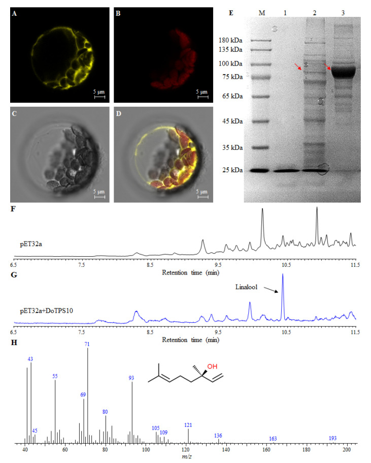 Figure 10