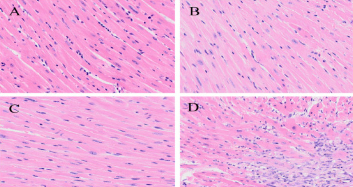 Fig. 9