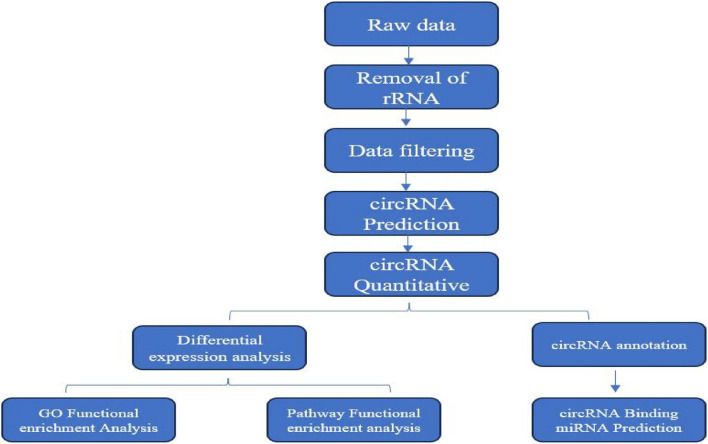 Fig.3