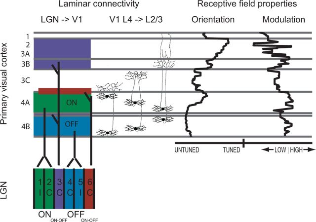 Figure 10.