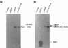 FIG. 9.