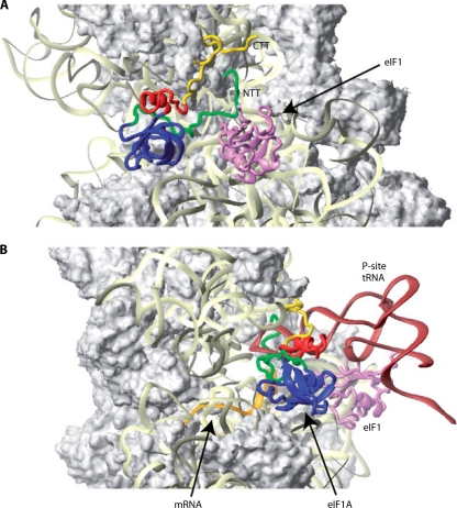 Fig. 9.