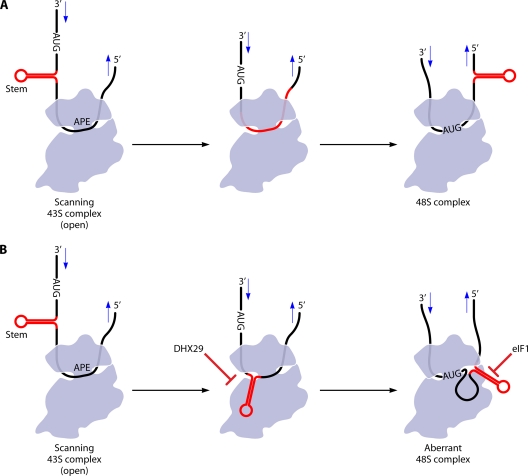 Fig. 13.