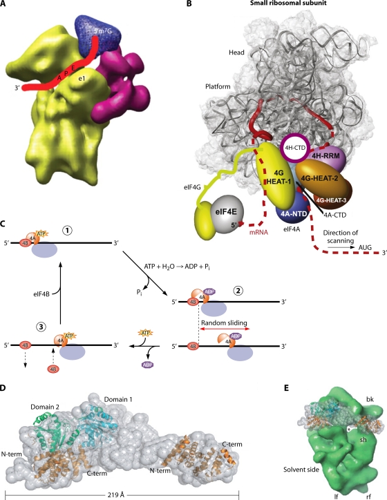 Fig. 12.