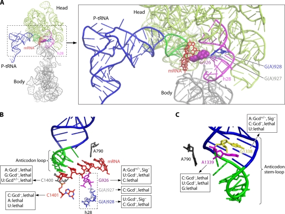 Fig. 10.