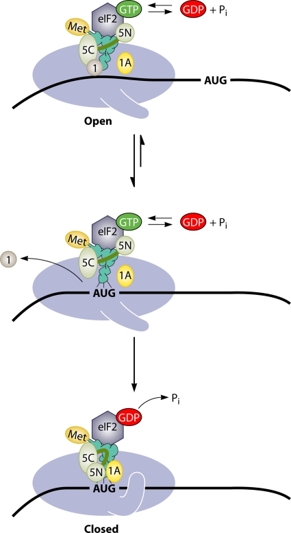 Fig. 6.