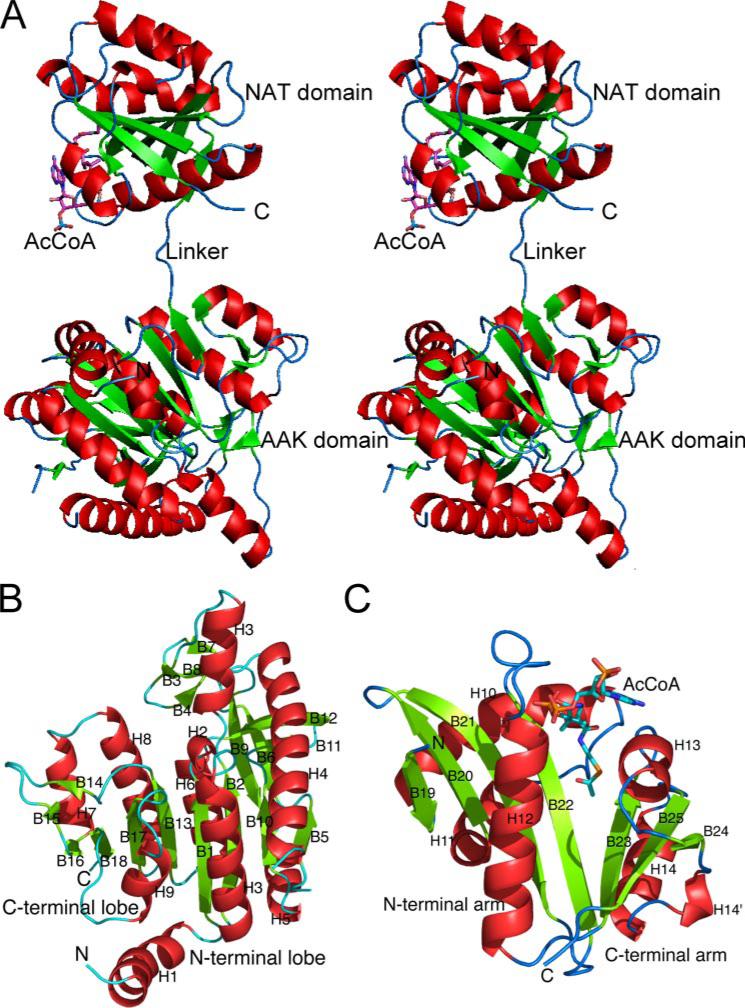 FIGURE 4