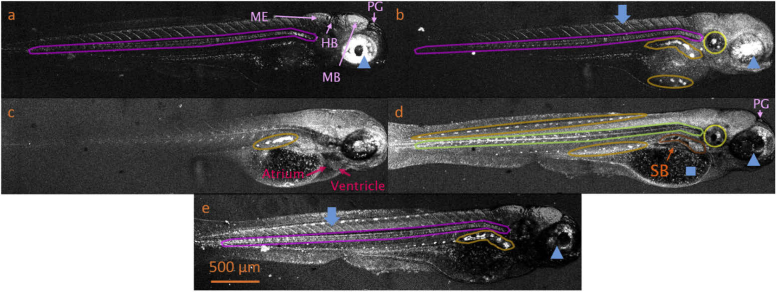 Fig. 3.