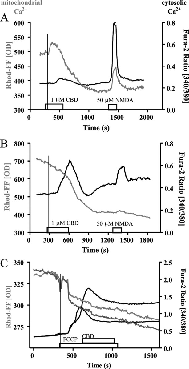 Figure 5.