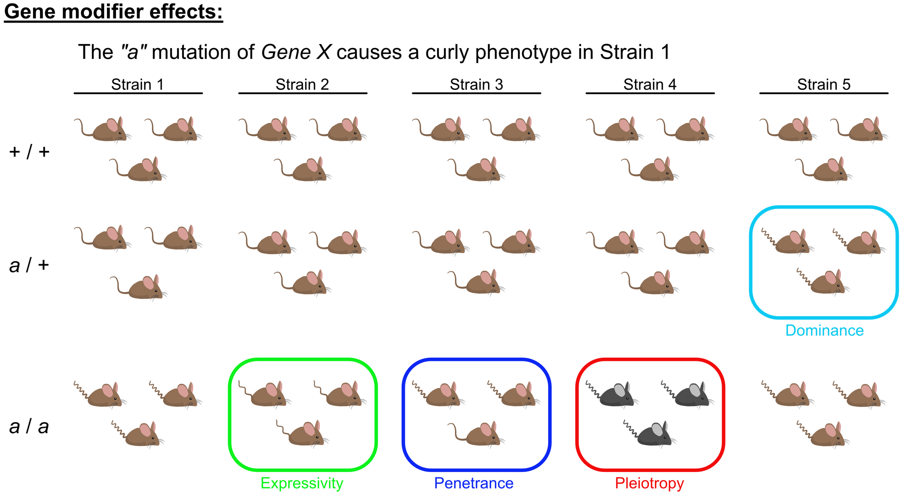 Figure 2: