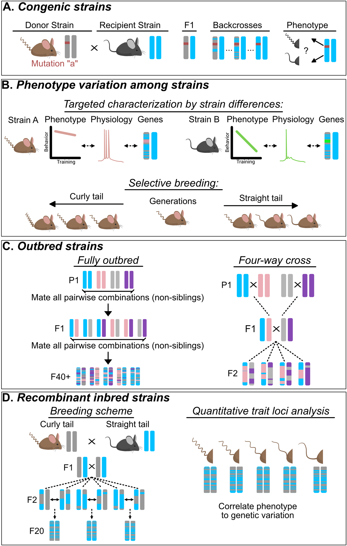 Figure 1: