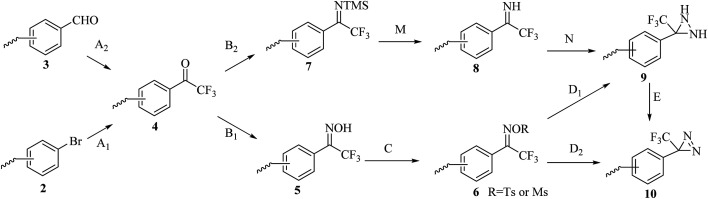 Scheme 2