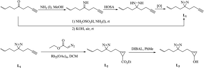 Scheme 3