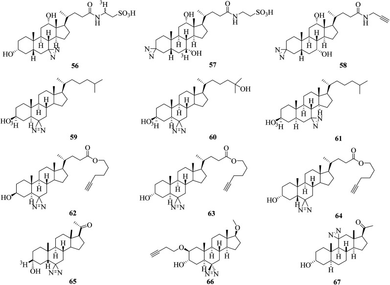 Fig. 10