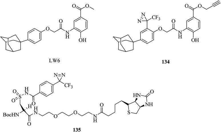 Fig. 24