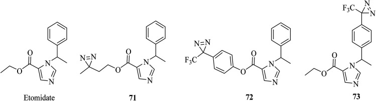 Fig. 12