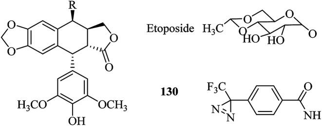 Fig. 22