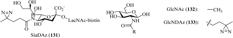 Fig. 23