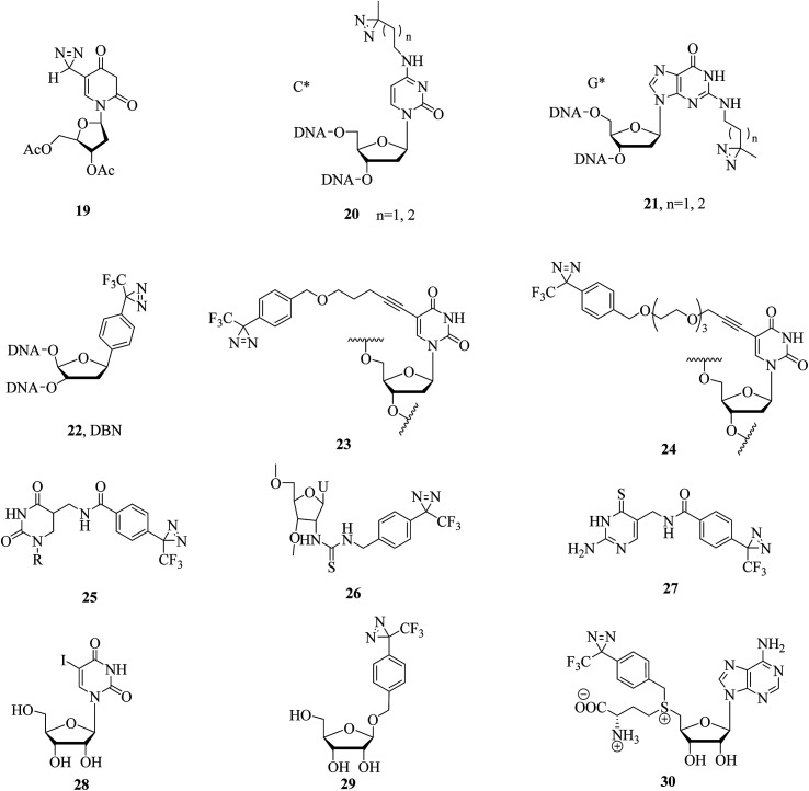 Fig. 7