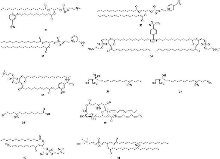 Fig. 8